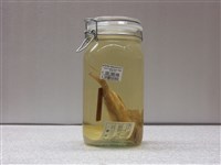 藏品(曳絲鑚嘴魚)的圖片